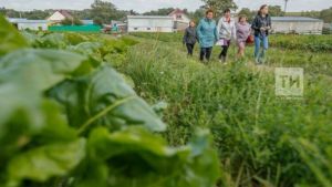 Как обеспечить безопасность пасек при применении пестицидов, пояснили в Россельхозцентре Татарстана